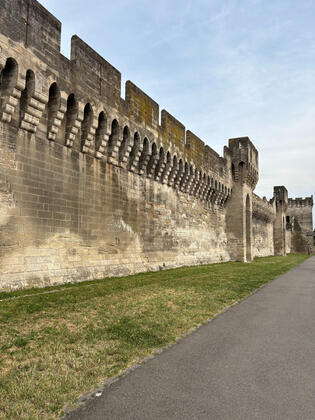 Avignon