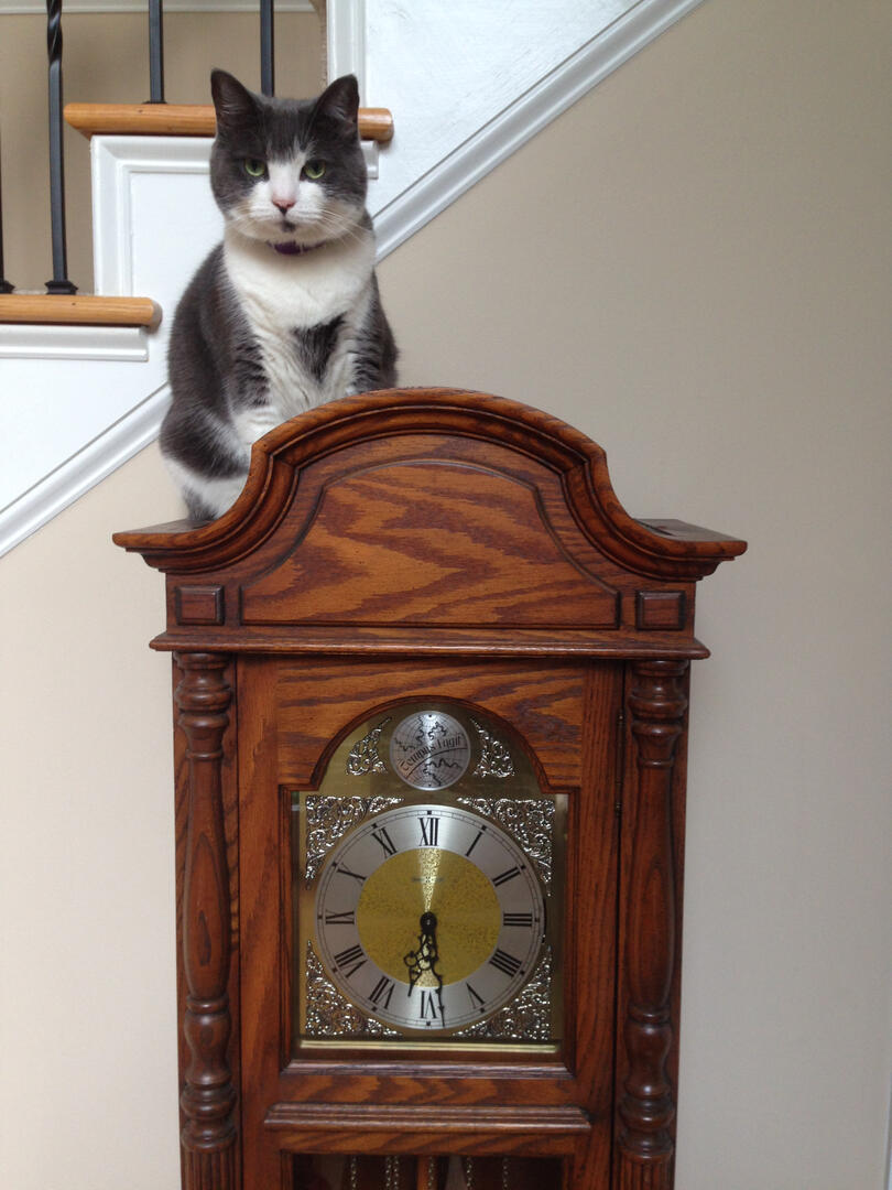 clock cat... she controls the weather