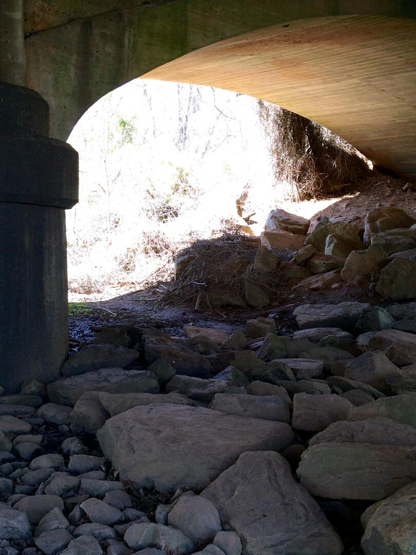 A view from beneath