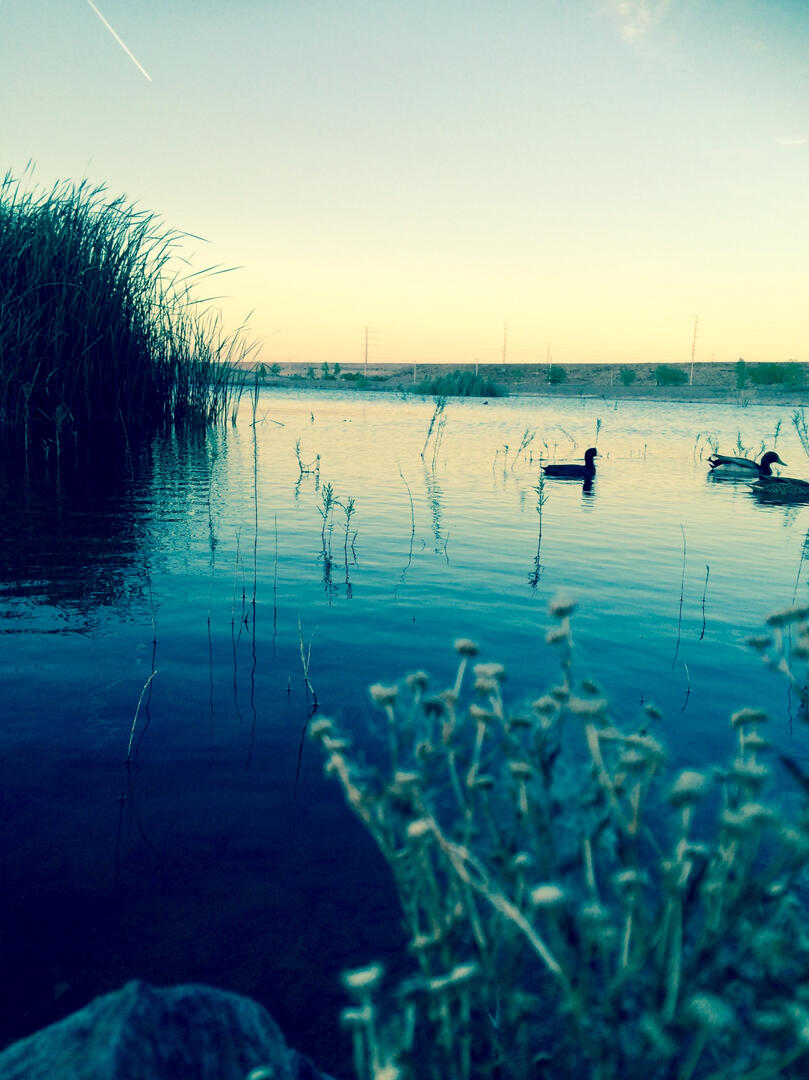 duckin' out