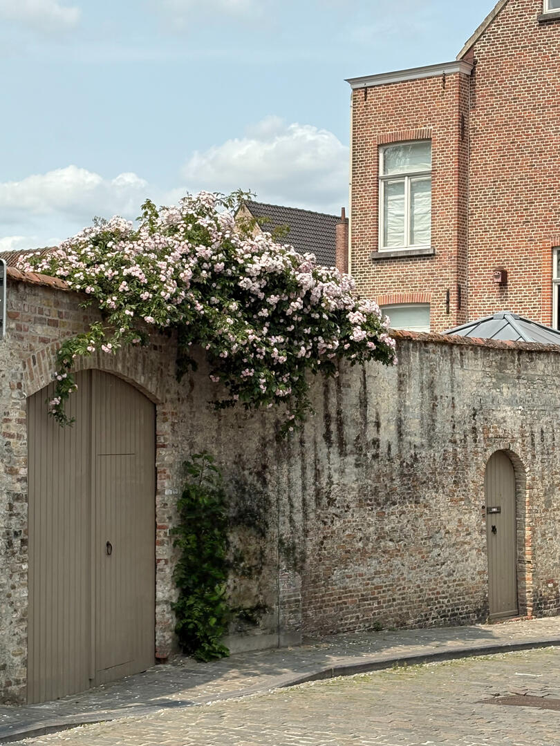 Springtime in Bruges